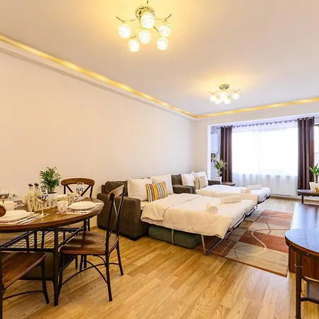 Jad Comfortable * 브라쇼브